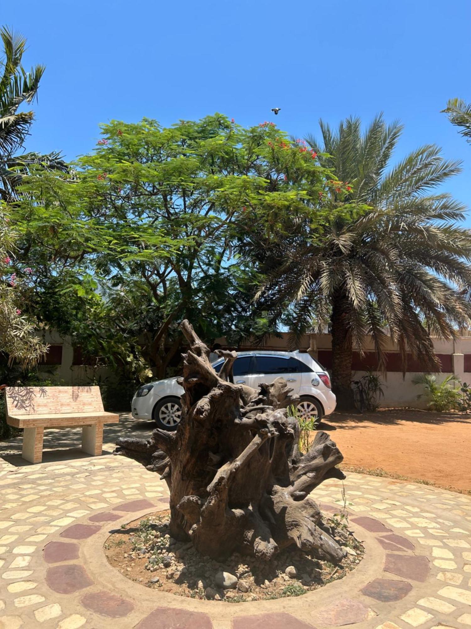 Bohobe Naboty Acomodação com café da manhã Toliara Exterior foto